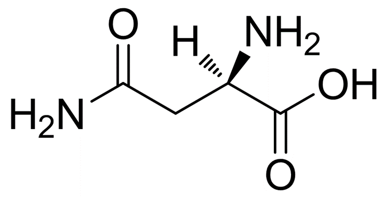 D-天门冬酰胺一水合物
