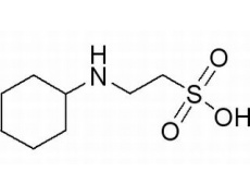 2-环己胺基乙磺酸