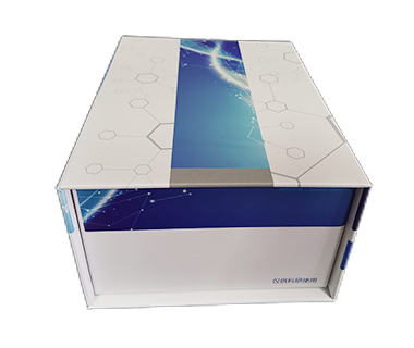 丙酮酸磷酸双激酶（PPDK)测试盒