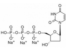 2'-脱氧尿嘧啶核苷-5'-三磷酸三钠盐