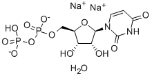 5-尿苷二磷酸
