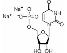 5-尿苷一磷酸二钠盐