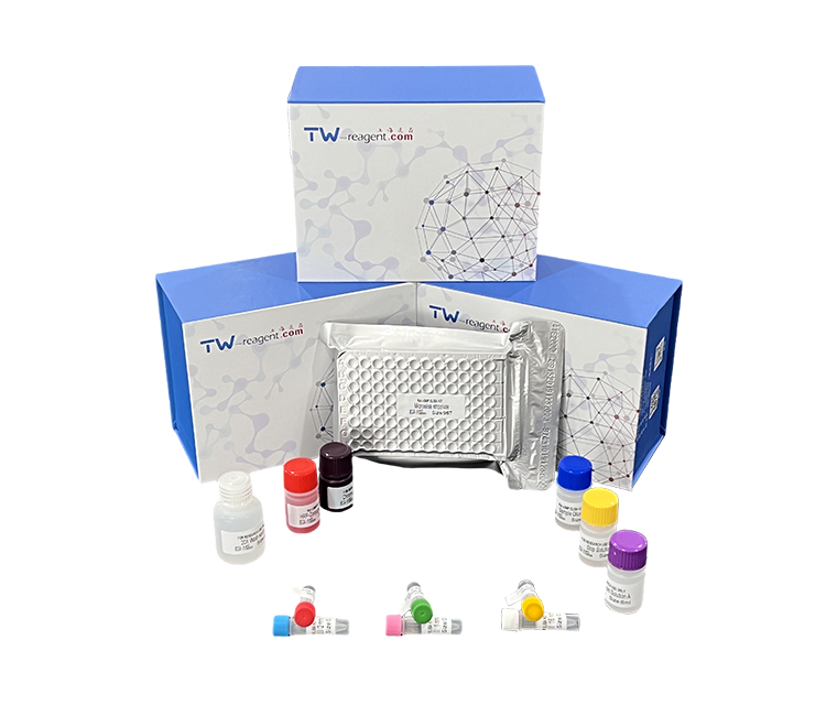 人T细胞免疫球蛋白粘蛋白分子3(TIM-3)试剂盒