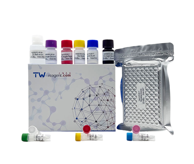 兔血栓调节蛋白(TM)试剂盒