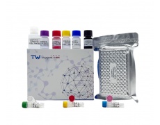 兔骨髓细胞触发受体-1(TREM-1)试剂盒
