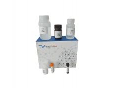 谷氨酸(Glu)含量检测试剂盒(WST显色法)(微量法/100T)