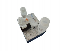 高铁血红蛋白还原检测试剂盒(微板法/100T)