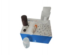 大米加工精度检测试剂盒(苏丹Ⅲ乙醇染色法 100ml/500ml)