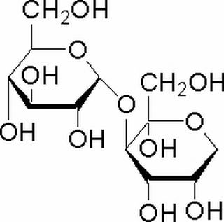 碳水化合物类