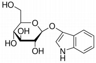 碳水化合物类