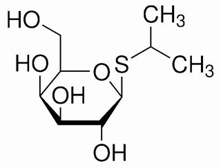 碳水化合物类