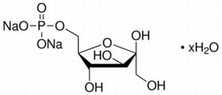 碳水化合物类