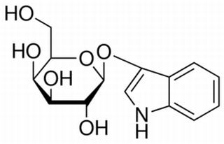 碳水化合物类