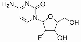 植物激素及核酸类