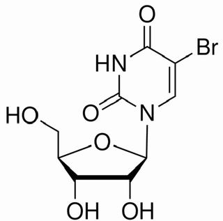 植物激素及核酸类