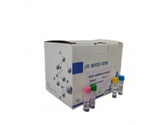 转轮蟹通用染料法荧光定量PCR试剂盒
