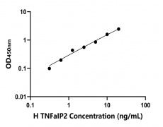 人 Elisa试剂盒