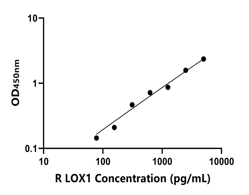 兔(LOX1)ELISA试剂盒